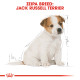 ROYAL CANIN JACK RUSSELL PUPPY ROYAL CANIN JACK RUSSELL PUPPY