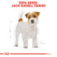 ROYAL CANIN JACK RUSSELL ADULT