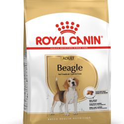 ROYAL CANIN BEAGLE ADULT