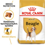 ROYAL CANIN BEAGLE ADULT