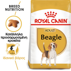 ROYAL CANIN BEAGLE ADULT