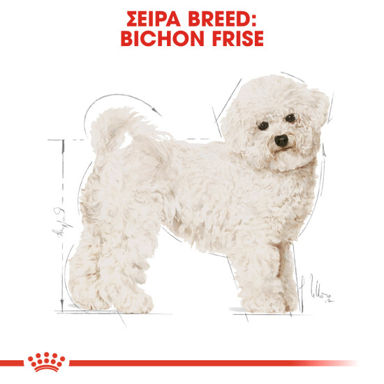 ROYAL CANIN BICHON FRISE ROYAL CANIN BICHON FRISE