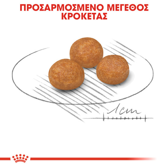 ROYAL CANIN XSMALL ADULT ROYAL CANIN XSMALL ADULT