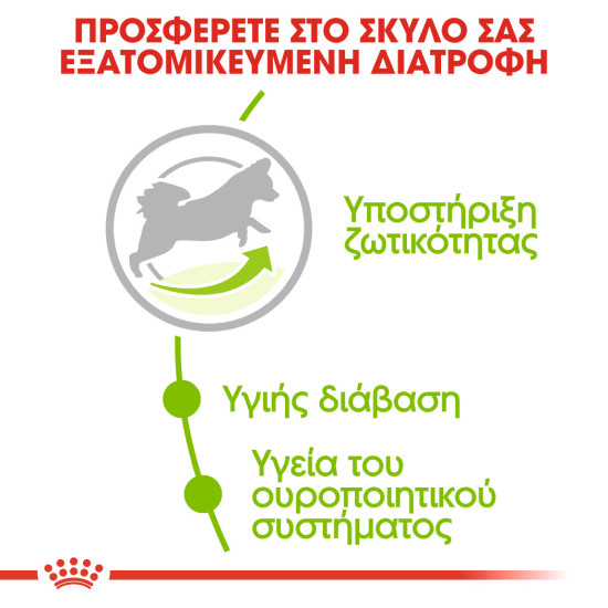 ROYAL CANIN XSMALL ADULT 8+ ROYAL CANIN XSMALL ADULT 8+