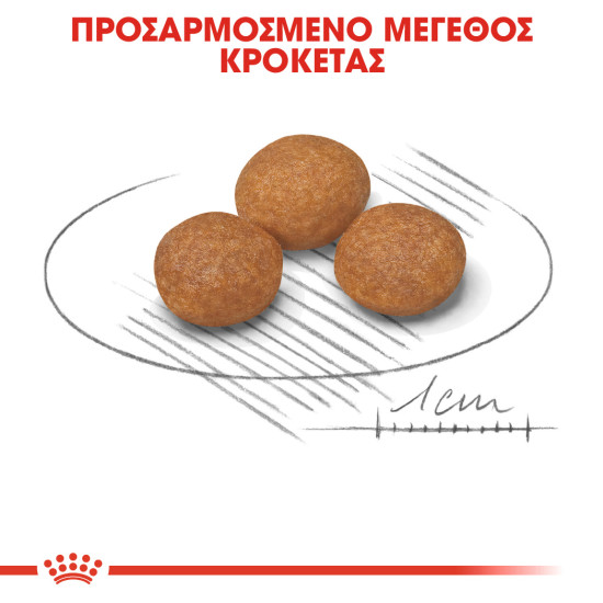 ROYAL CANIN XSMALL ADULT 8+ ROYAL CANIN XSMALL ADULT 8+