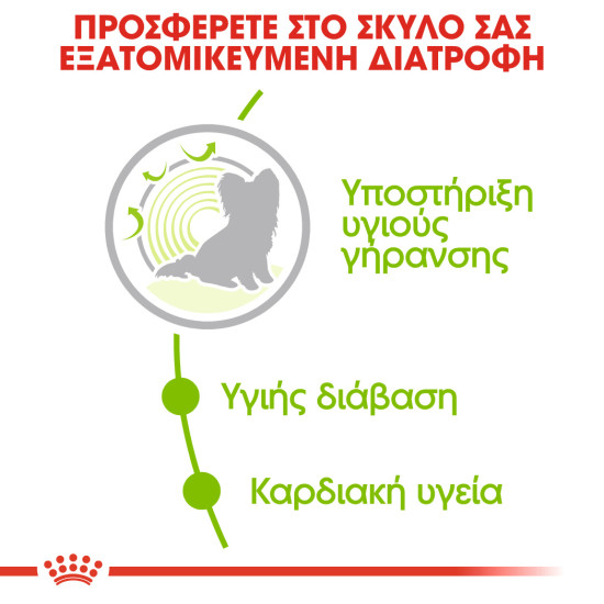 ROYAL CANIN XSMALL AGEING 12+
