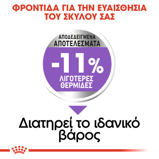 ROYAL CANIN XSMALL STERILISED