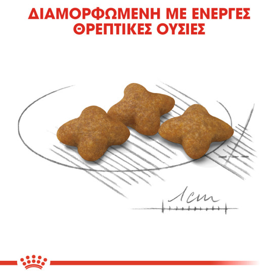 ROYAL CANIN XSMALL STERILISED