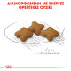ROYAL CANIN XSMALL STERILISED