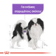 ROYAL CANIN XSMALL STERILISED