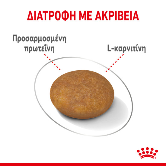 ROYAL CANIN XSMALL LIGHT WEIGHT CARE