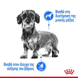 ROYAL CANIN XSMALL LIGHT WEIGHT CARE