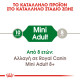ROYAL CANIN MINI ADULT