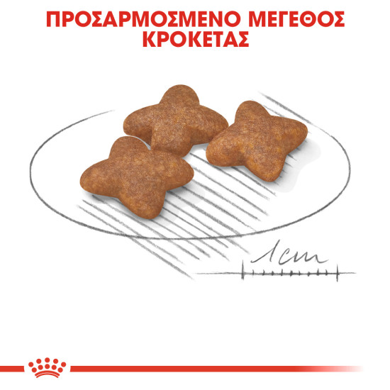 ROYAL CANIN MINI ADULT