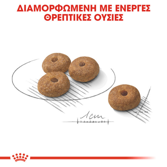 ROYAL CANIN MINI STERILISED AD