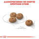 ROYAL CANIN MINI STERILISED AD
