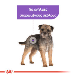 ROYAL CANIN MINI STERILISED AD