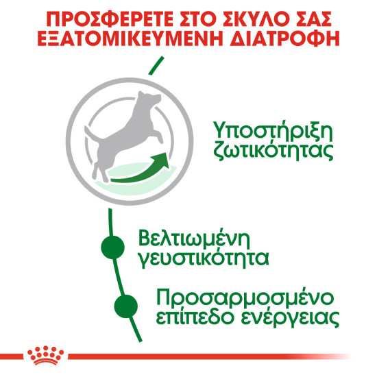 ROYAL CANIN MINI ADULT 8+