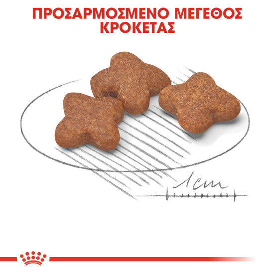 ROYAL CANIN MINI ADULT 8+