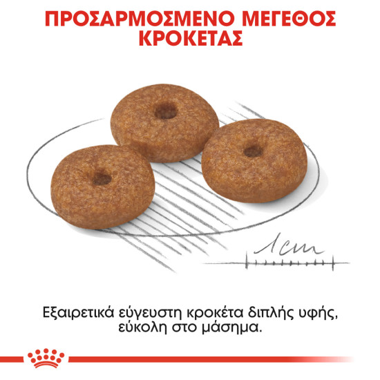 ROYAL CANIN MINI AGEING 12+
