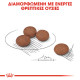 ROYAL CANIN MINI DIGESTIVE CARE