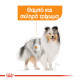 ROYAL CANIN MINI COAT CARE