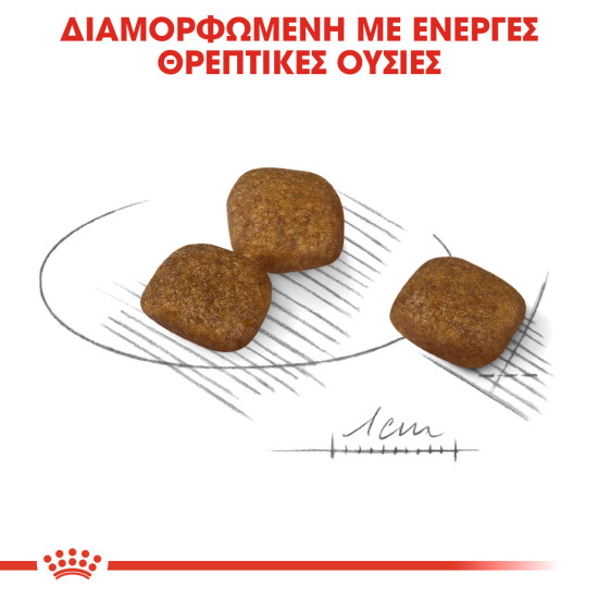 ROYAL CANIN MINI COAT CARE