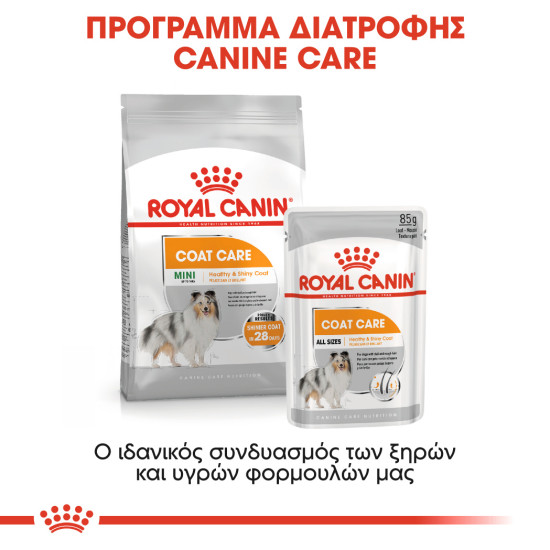 ROYAL CANIN MINI COAT CARE