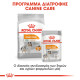 ROYAL CANIN MINI COAT CARE