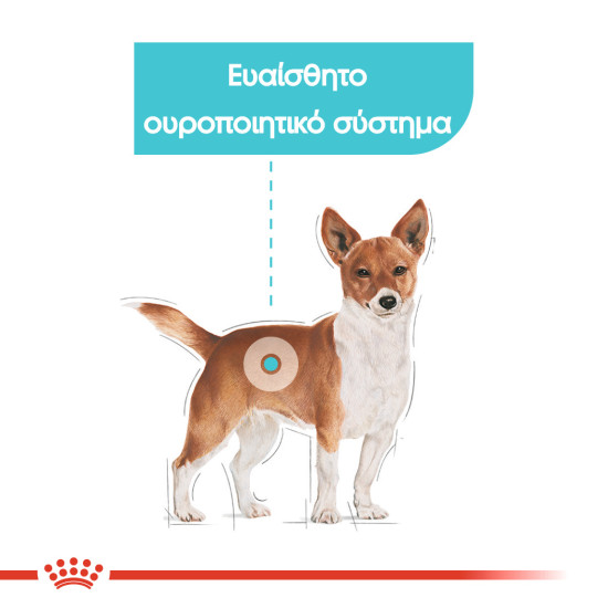 ROYAL CANIN MINI URINARY CARE