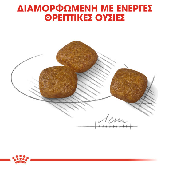 ROYAL CANIN MINI URINARY CARE