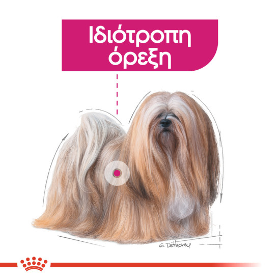 ROYAL CANIN MINI EXIGENT