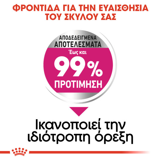 ROYAL CANIN MINI EXIGENT
