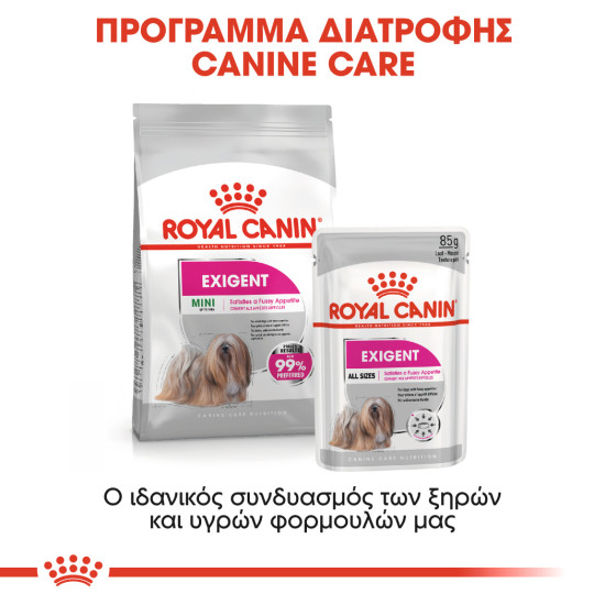ROYAL CANIN MINI EXIGENT