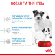 ROYAL CANIN MINI STARTER MOTHER & BABY ROYAL CANIN MINI STARTER MOTHER & BABY