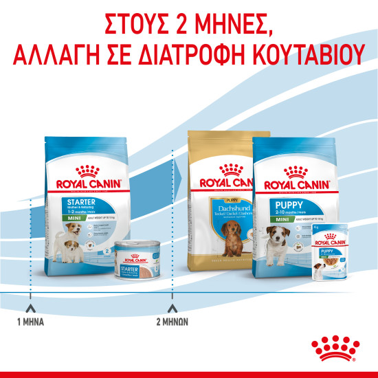 ROYAL CANIN MINI STARTER MOTHER & BABY ROYAL CANIN MINI STARTER MOTHER & BABY