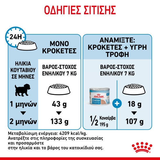 ROYAL CANIN MINI STARTER MOTHER & BABY ROYAL CANIN MINI STARTER MOTHER & BABY
