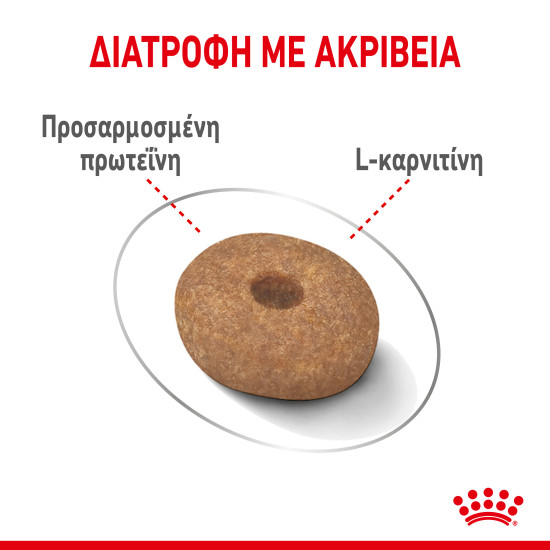 ROYAL CANIN MINI LIGHT WEIGHT CARE