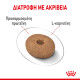 ROYAL CANIN MINI LIGHT WEIGHT CARE