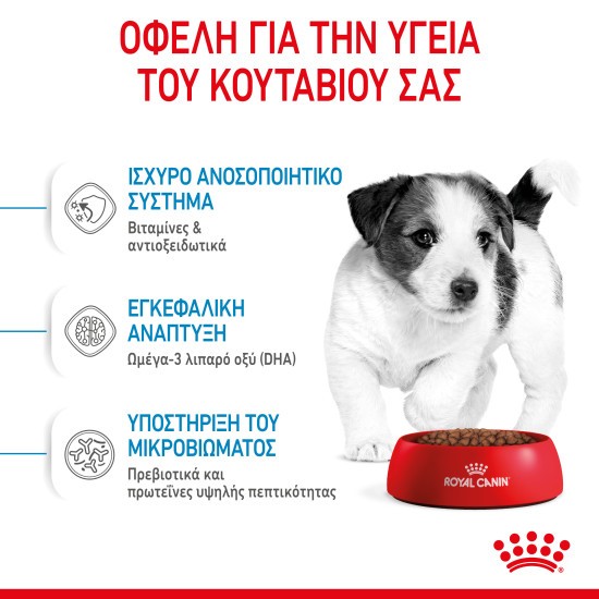 ROYAL CANIN MINI PUPPY ROYAL CANIN MINI PUPPY