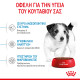ROYAL CANIN MINI PUPPY ROYAL CANIN MINI PUPPY