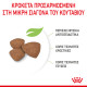ROYAL CANIN MINI PUPPY ROYAL CANIN MINI PUPPY