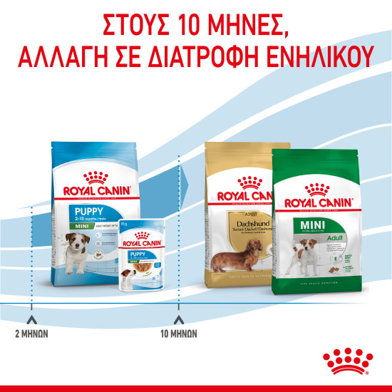 ROYAL CANIN MINI PUPPY ROYAL CANIN MINI PUPPY