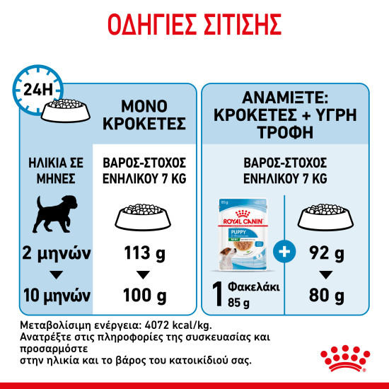 ROYAL CANIN MINI PUPPY ROYAL CANIN MINI PUPPY