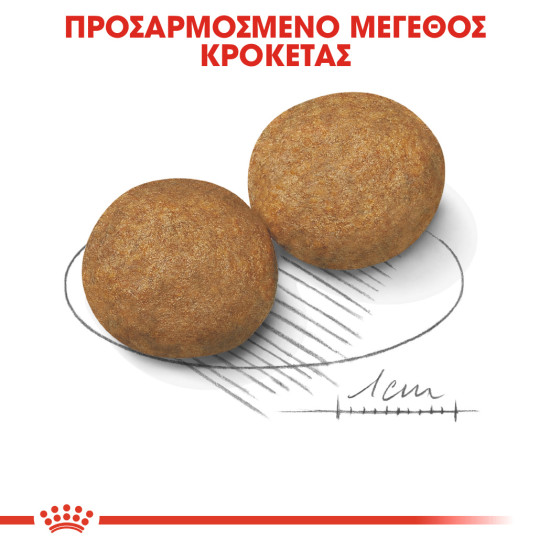 ROYAL CANIN MEDIUM ADULT