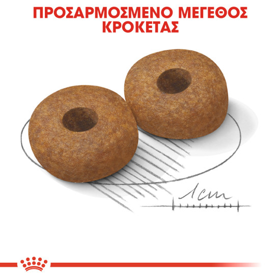 ROYAL CANIN MEDIUM AGEING 10+