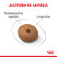 ROYAL CANIN MEDIUM LIGHT WEIGHT CARE