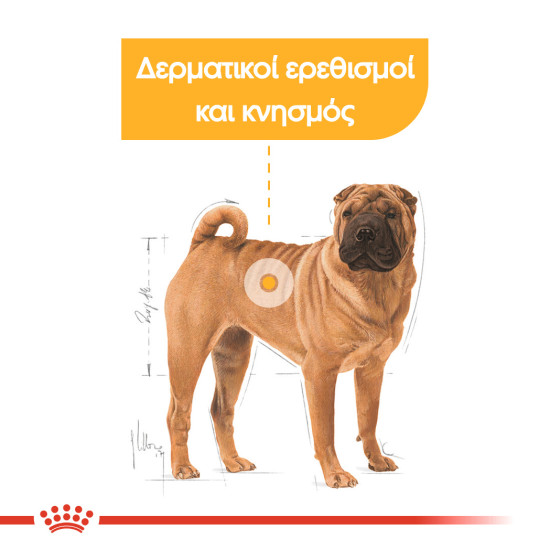 ROYAL CANIN MEDIUM DERMACOMFORT
