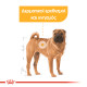 ROYAL CANIN MEDIUM DERMACOMFORT