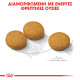 ROYAL CANIN MEDIUM DERMACOMFORT